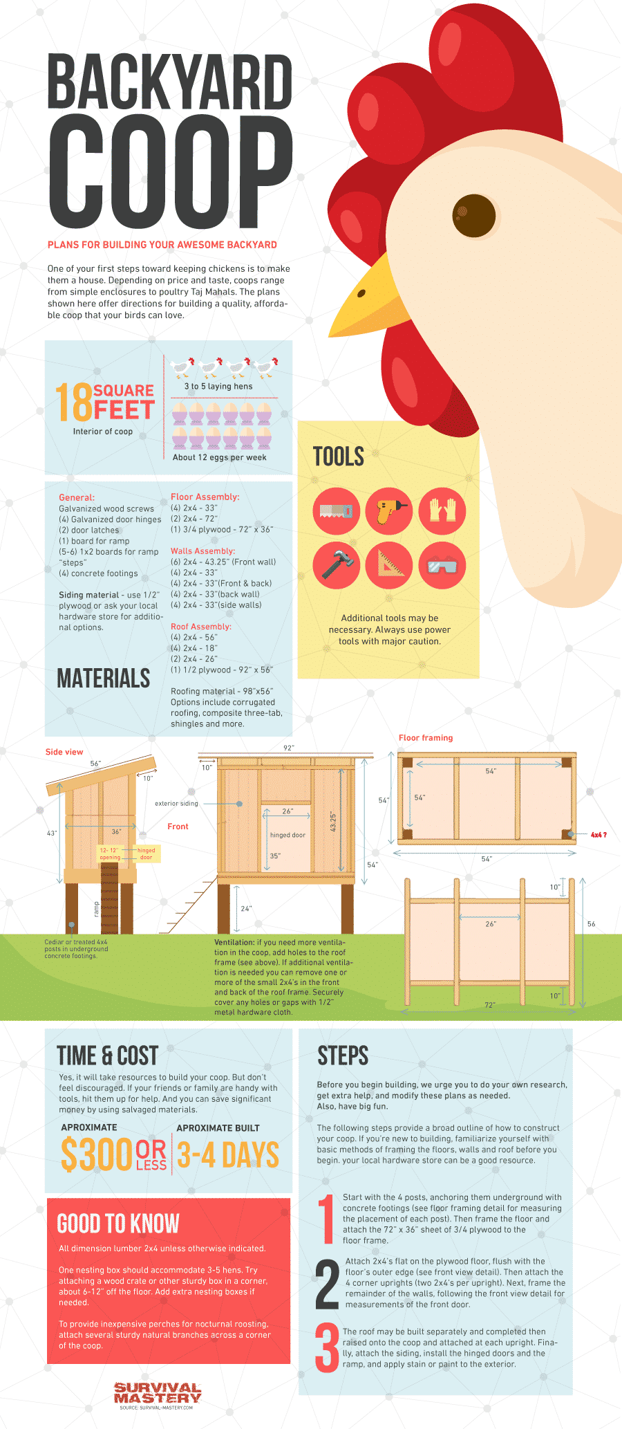 Infographic Raise chickens