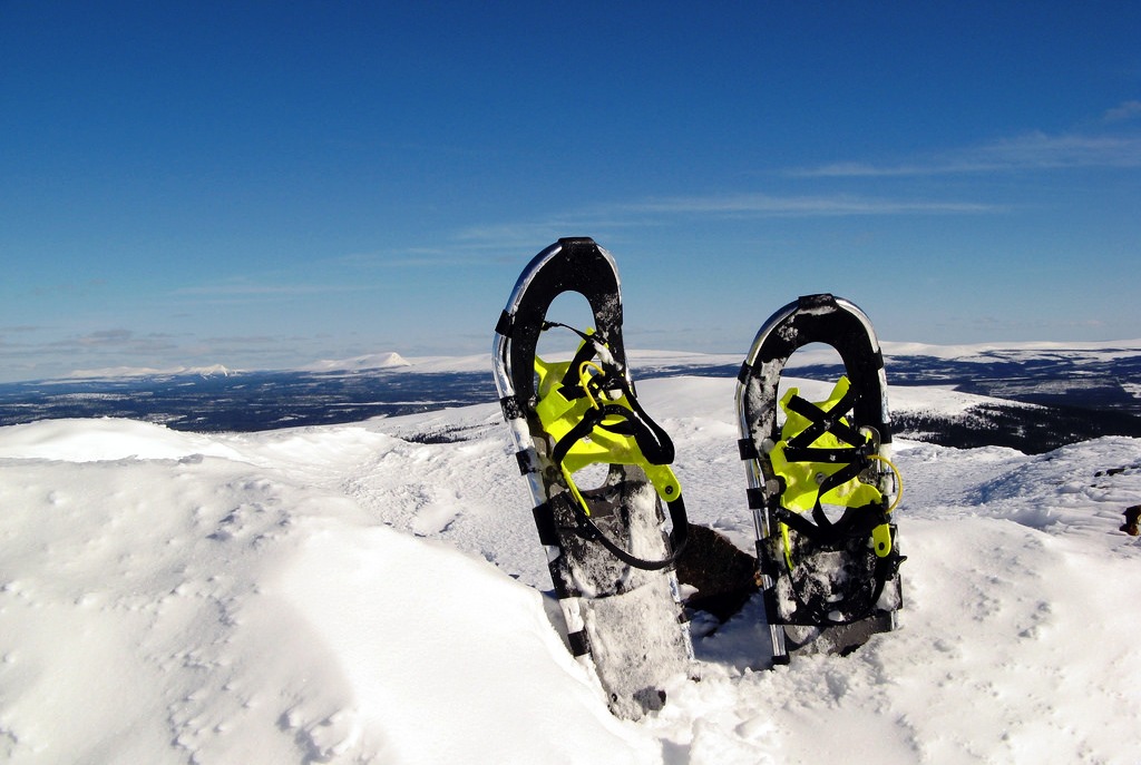 How to Make Snowshoes A Fun DIY Project for The Survivalist in You
