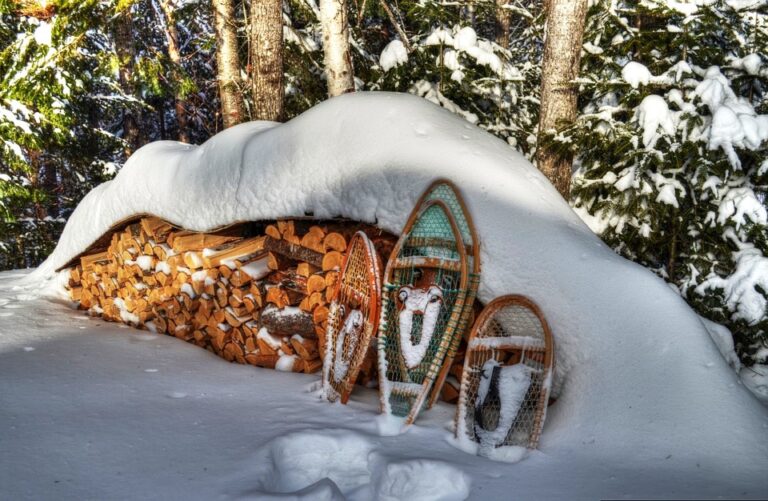 How to Make Snowshoes A Fun DIY Project for The Survivalist in You