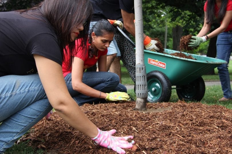 Applying mulch