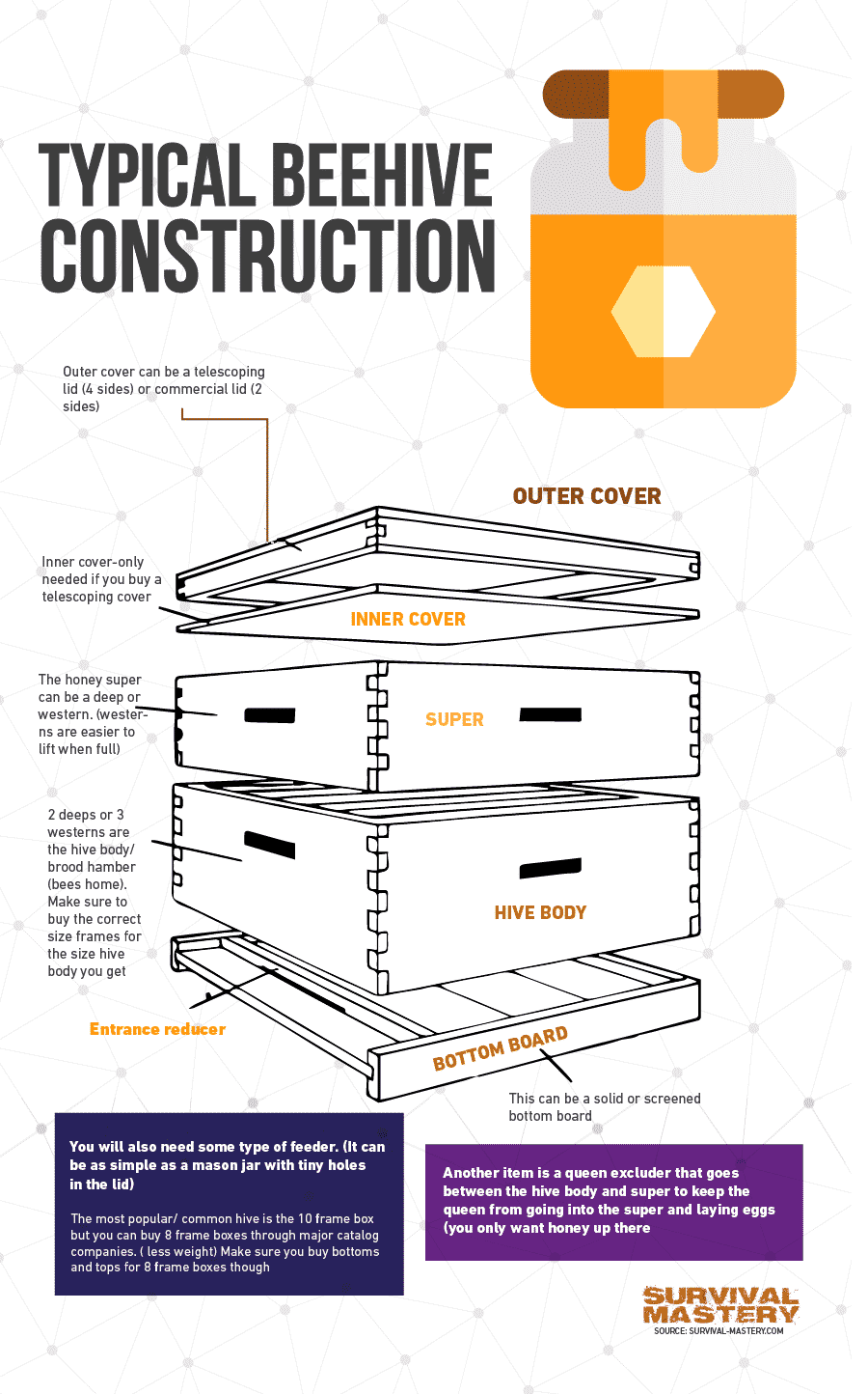 Beehive construction infographic