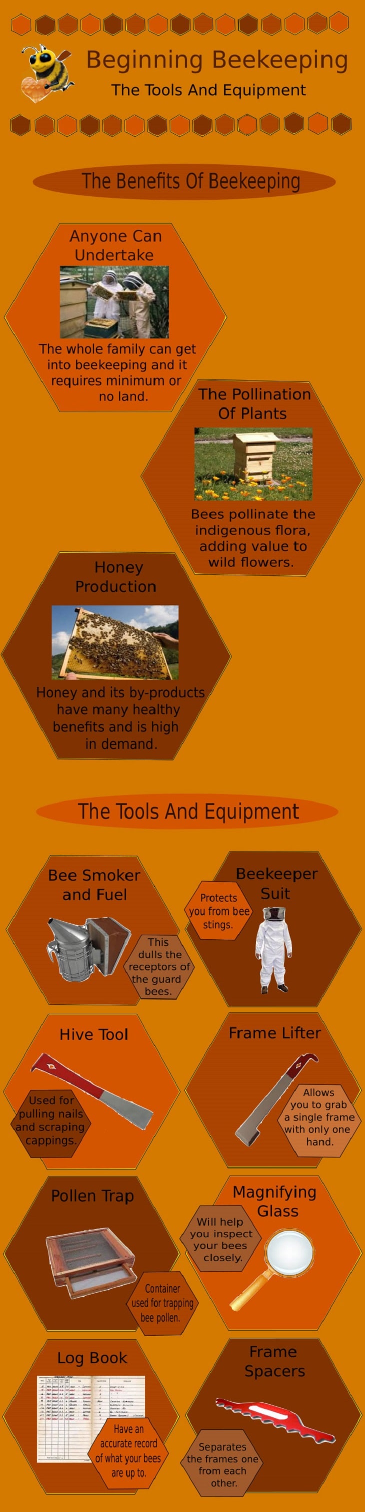 Beekeeping Infographic