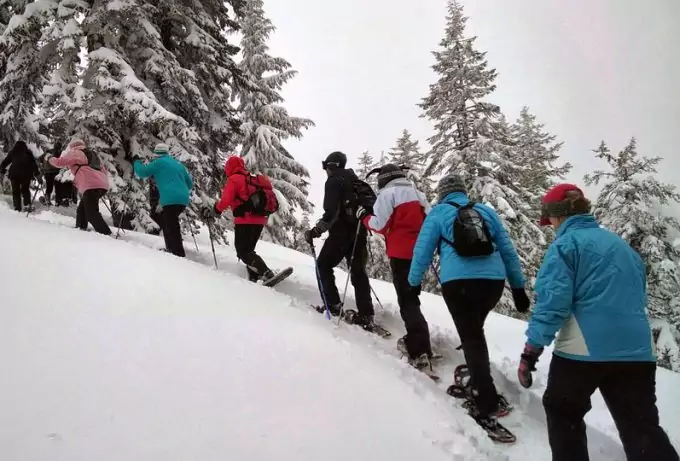 Benefits of Snowshoeing