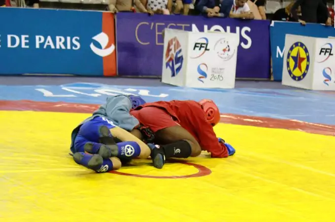 Combat Sambo