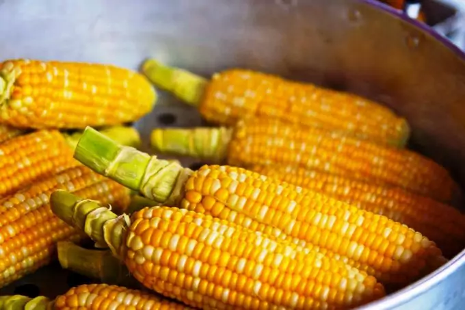 Corn for Ethanol