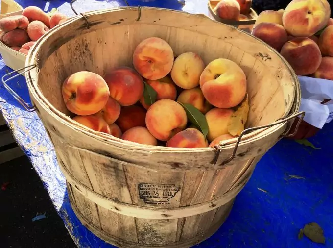 Fruits in a Barrel