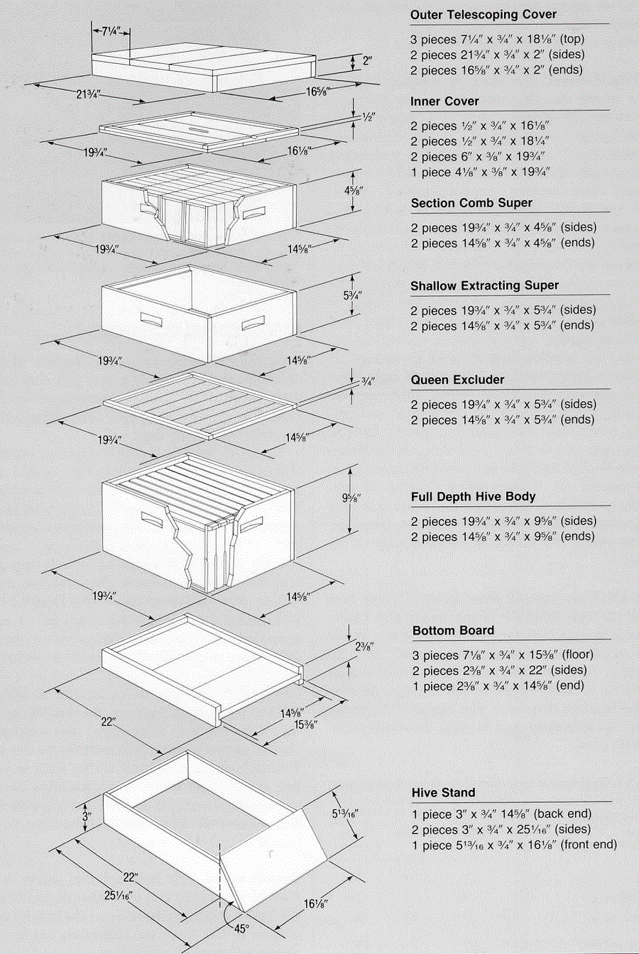 Hive infographic