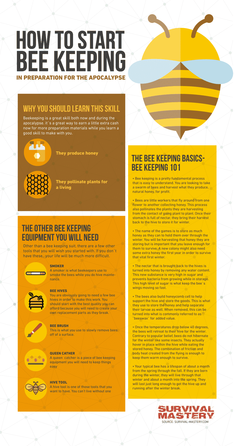 Start bee keeping infographic