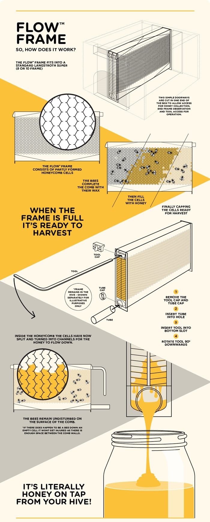 How it Works infographic