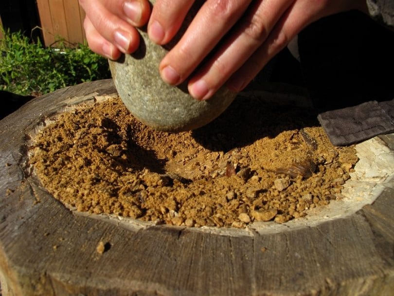 Making acorn flour