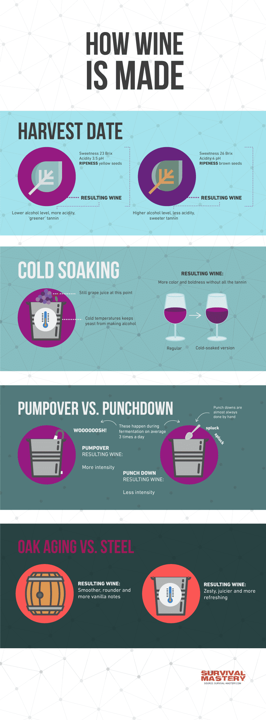 Making wine infographic