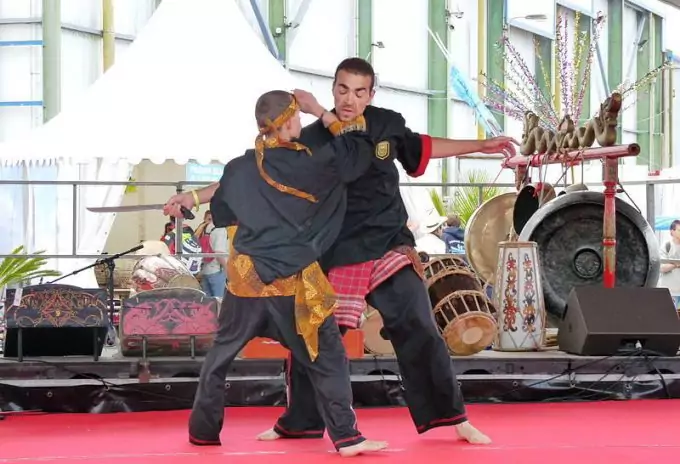 Pencak Silat