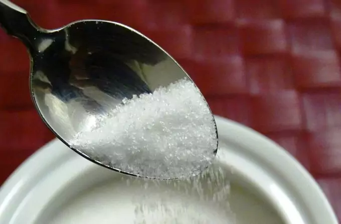 Spoon with Sugar