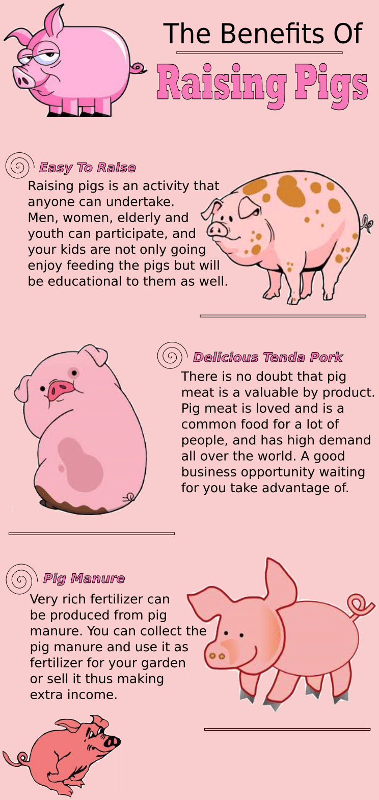 The Benefits Of Raising Pigs