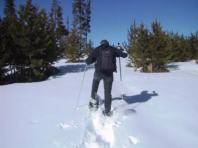 Walking in Snowshoes