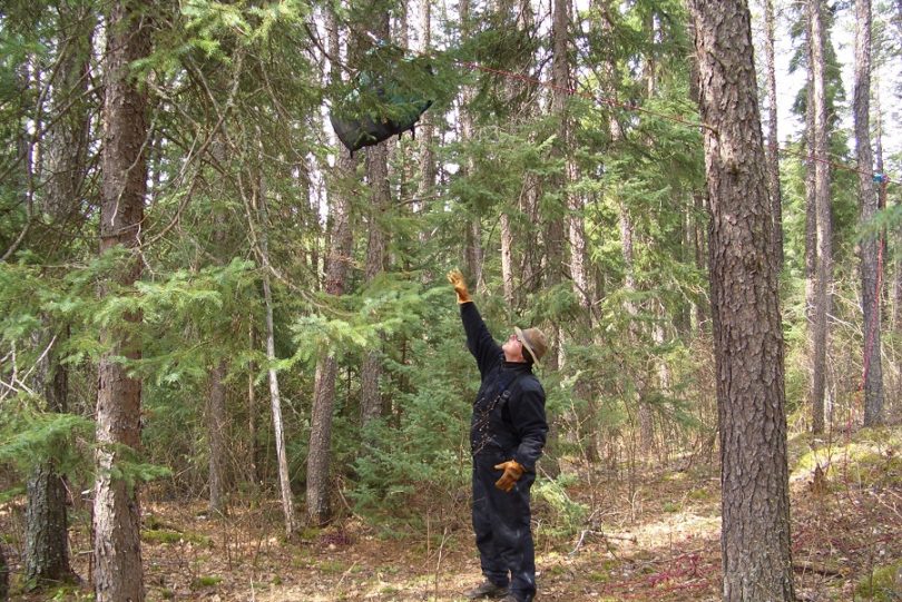 Hanging a food bag