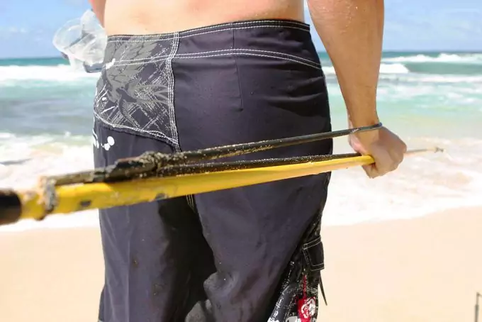 Spearfishing