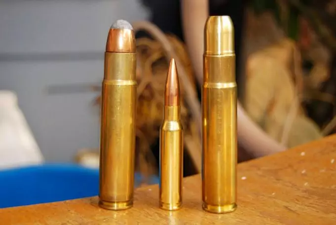 308 Winchester