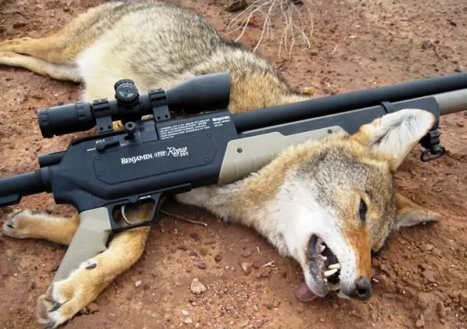 Coyote Hunting Gun