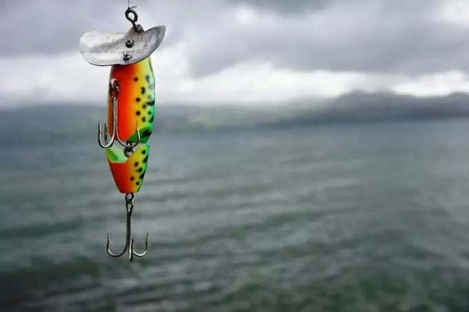 Fishing Lure