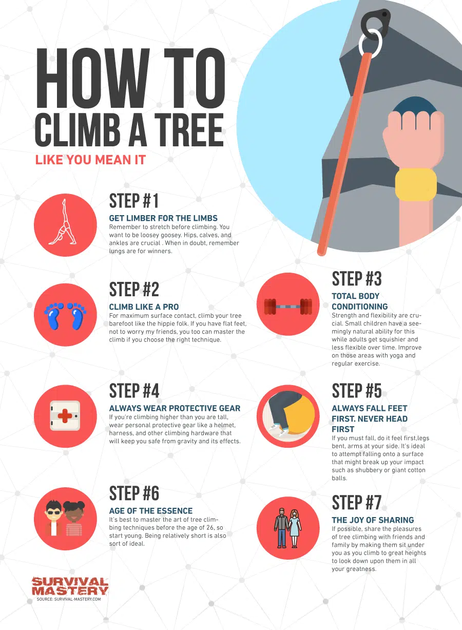 How to climb a tree infographic