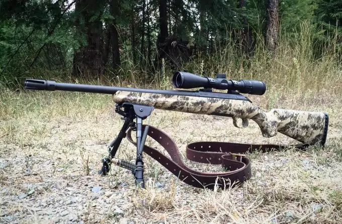 Ruger Rifle