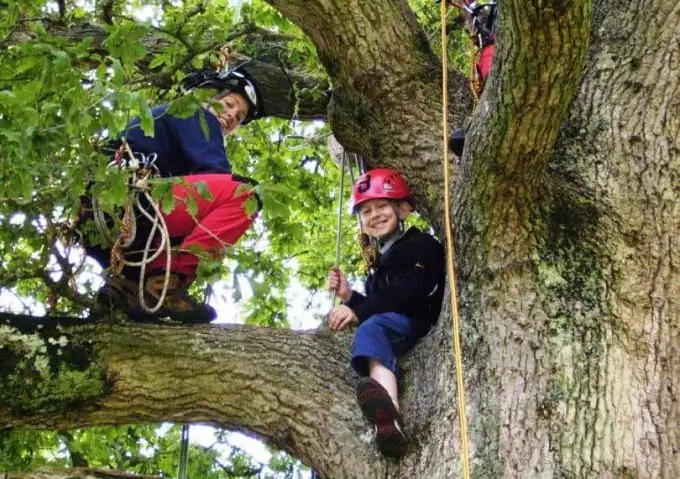 Young Climbers