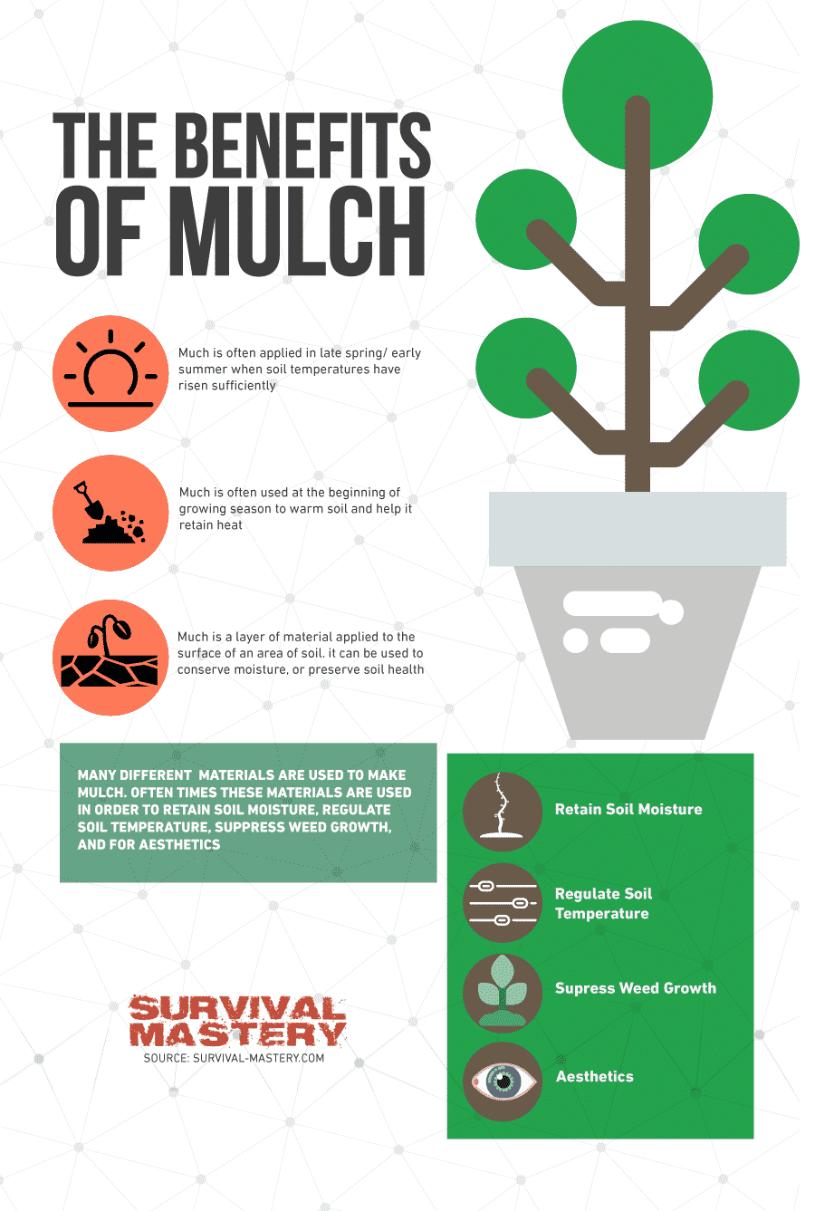 Benefits of mulch infographic