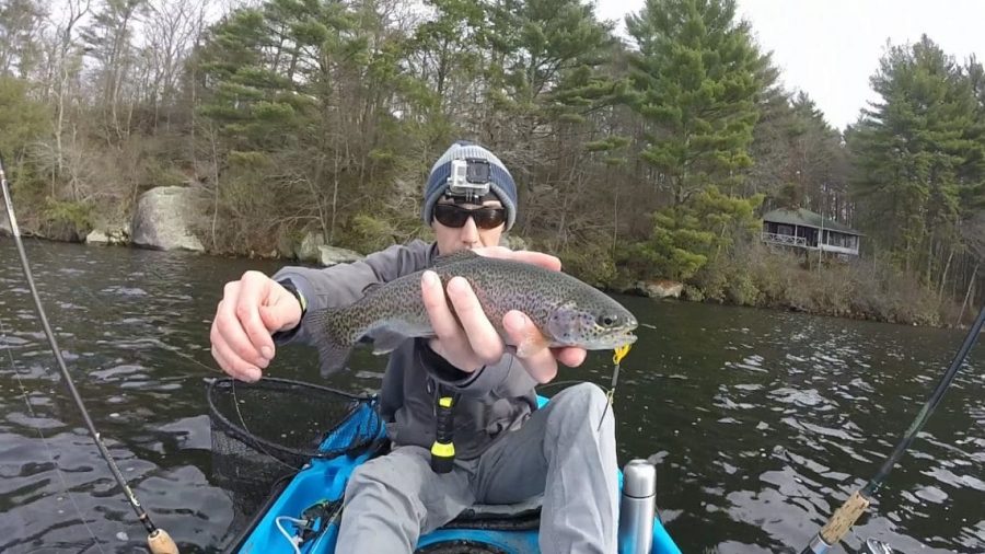 Rainbow trout in Stocked pond