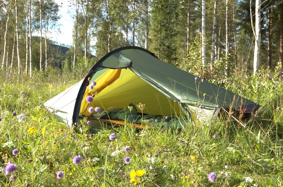 Solo tent in the wild