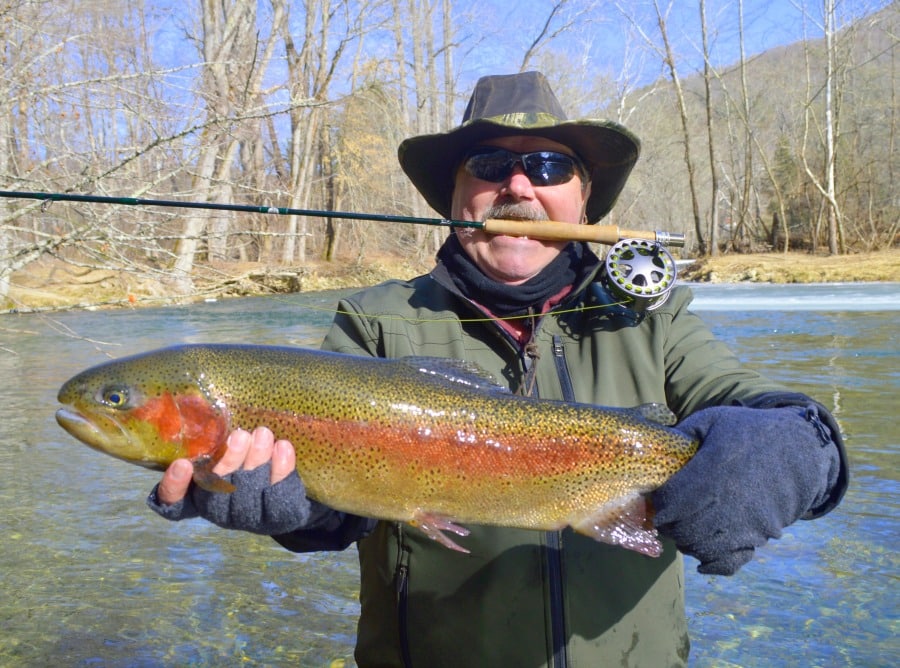 Trout fishing