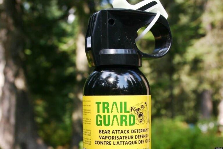 Does Bear Spray Work Protect Yourself From Bears Attack