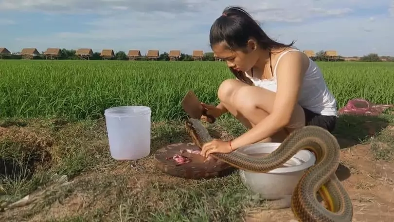 Girl Preparing Snake