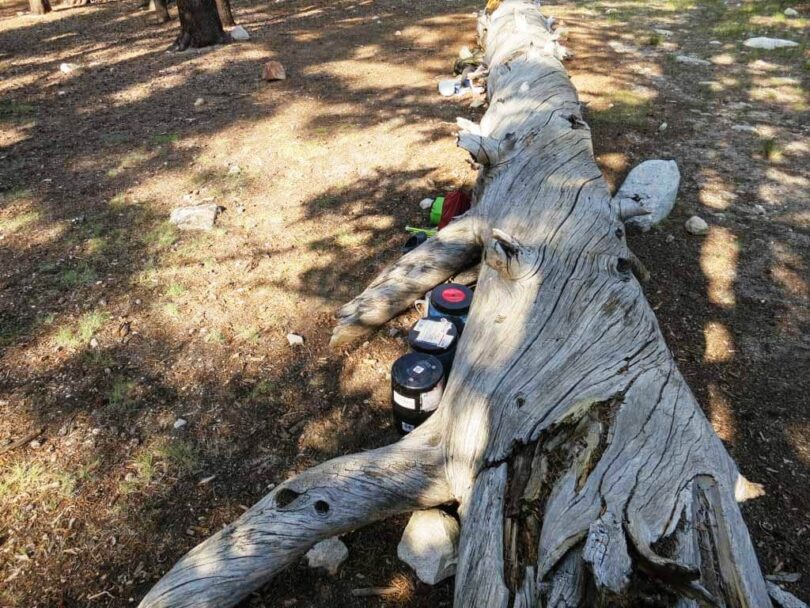 Hiding Bear Canisters