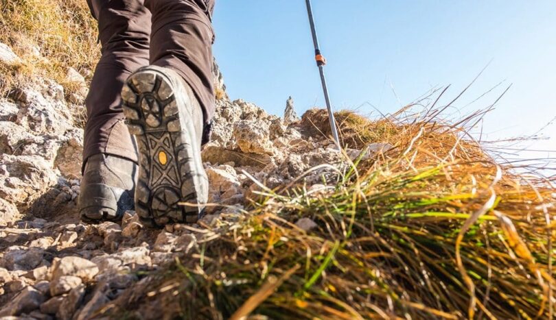 Hiking Boots