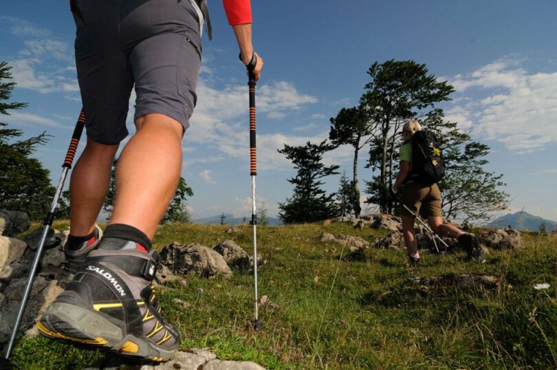 Hiking Boots