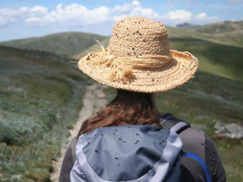 Hiking Sun Hat