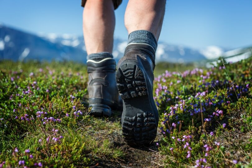  Hiking Through Wildflowers