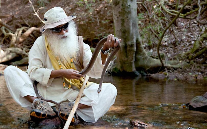 Man Catching Snake