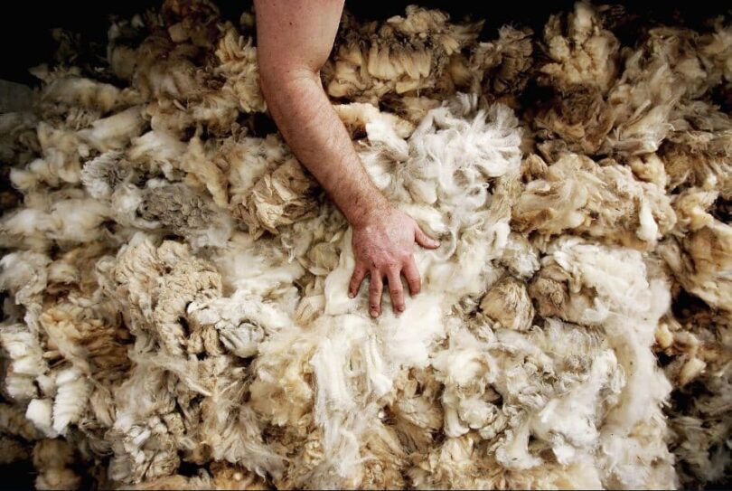 Why merino wool is a magical material – Commonplays