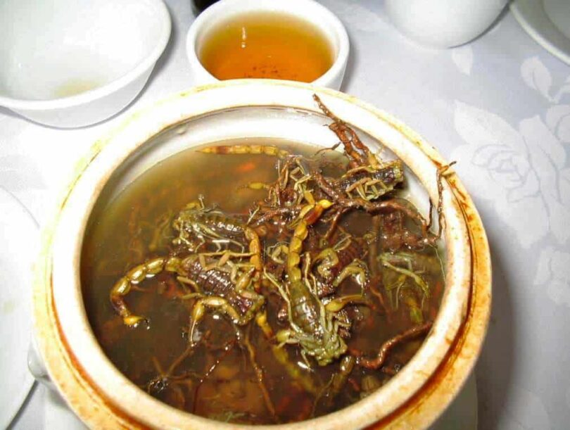 Scorpion Soup