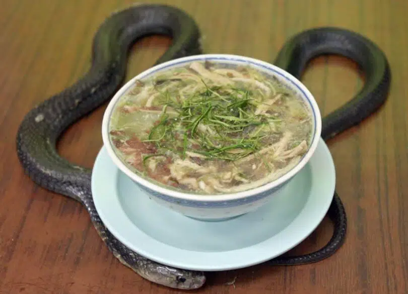 Snake Soup