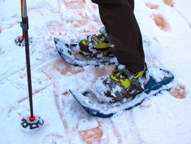 Snoewshoes Poles