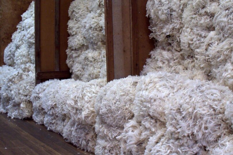 Tasmanian Merino Wool