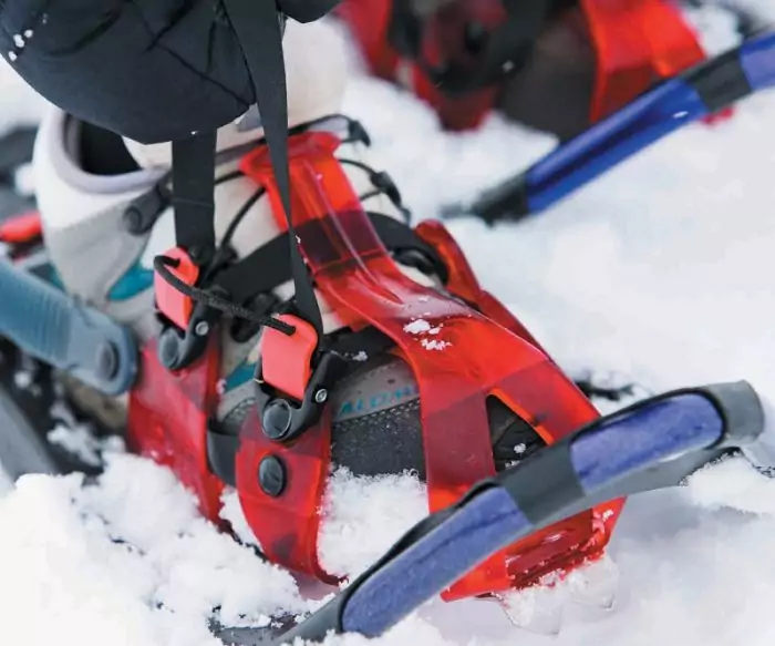 Snowshoes Decks