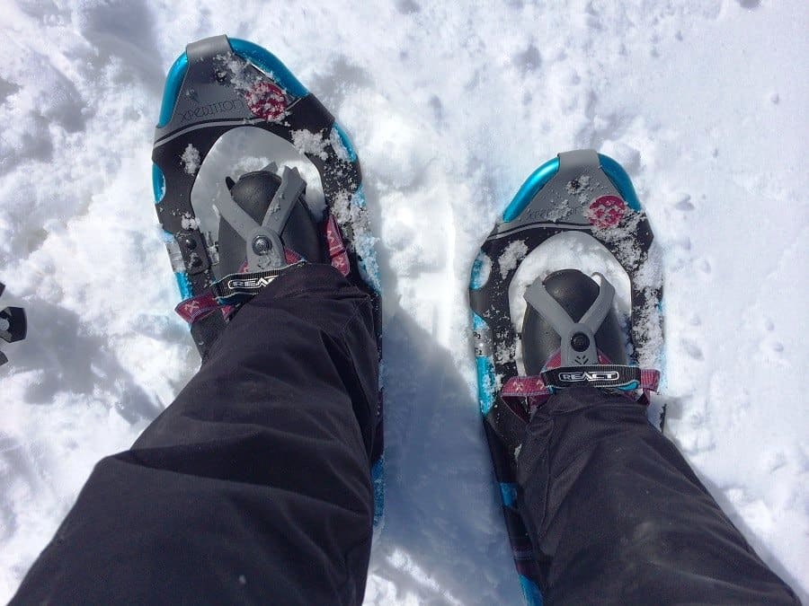 Best Snowshoes for Beginners Top Products and Buying Guide