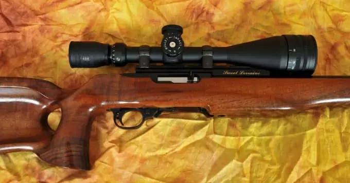 Best Scope For 22 Rifle