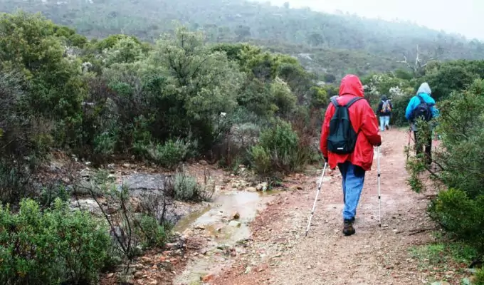 Busy Trail