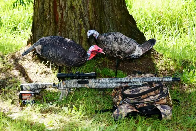 Turkey Scope Clarity