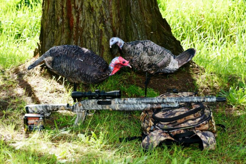 Best Turkey Shotgun Scope Experts Advice and Best Products on Market